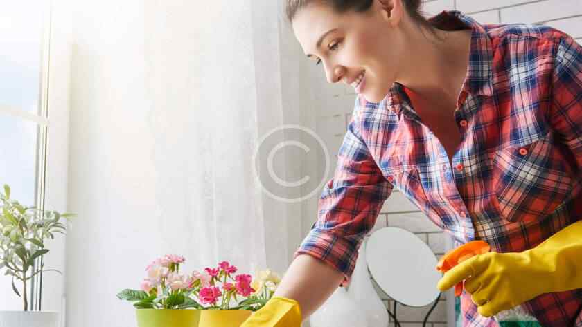 Achetez les meilleurs produits de nettoyage pour un nettoyage en profondeur à Lognes – TopaClean